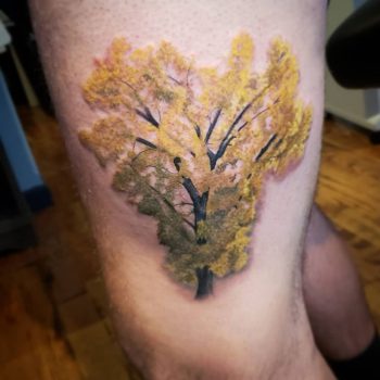 Cottonwood Tattoo by @calicoqueentattoo