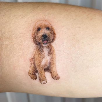 Golden Doodle Tattoo by @paw.tattoo