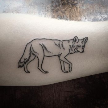 Simple Coyote Tattoo by @darqwebb