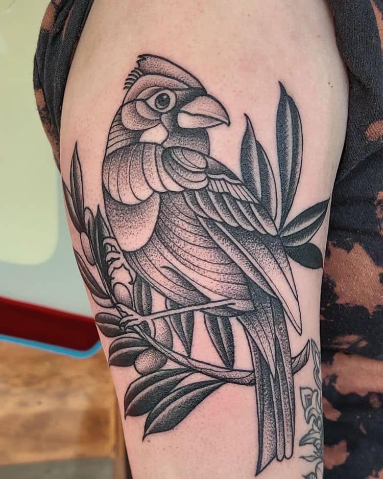 Cardinal Tattoo Black And Grey by @richard_bowers_tattoos_swt