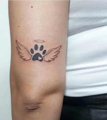 Dog Paw With Wings Tattoo