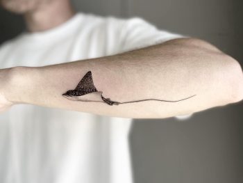Minimalist Stingray Tattoo by @shadow_tattooer