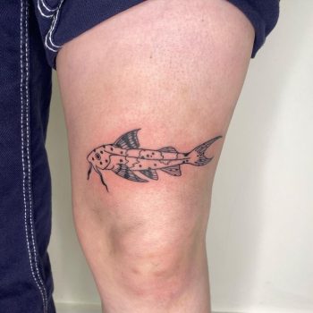 Simple Catfish Tattoo by @froggiemaggie.tattoo