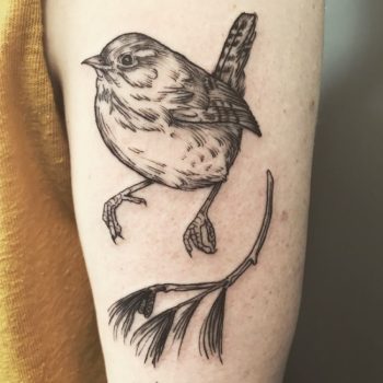 Wren Bird Tattoo by @halloween.parade
