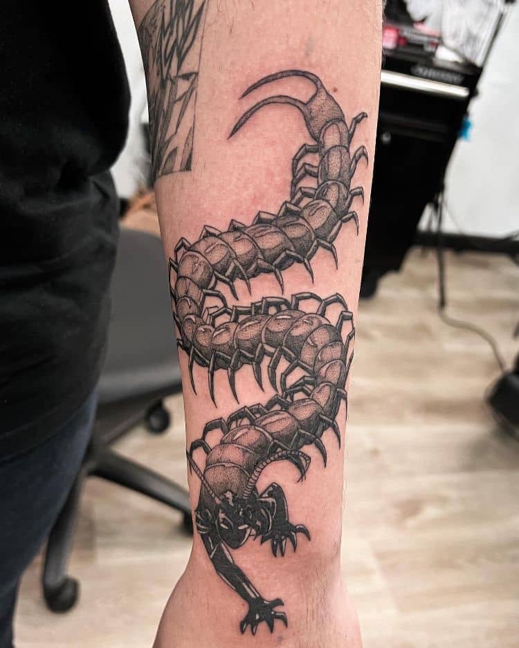 Centipede Tattoo Design by @impact_115