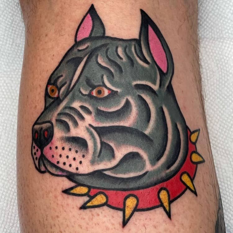 Traditional Pitbull Face Tattoo by @aldoxrodriguez